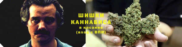 твердый Краснослободск
