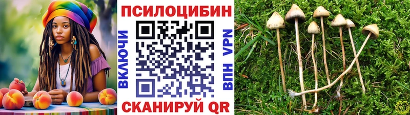 Псилоцибиновые грибы мицелий  Орехово-Зуево 
